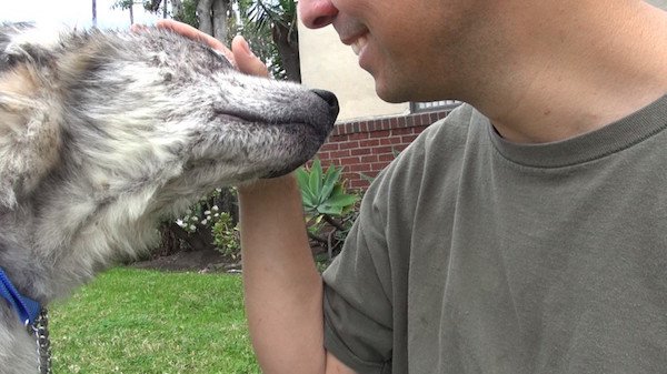 After that first long day, Julia quickly began to improve. She started to eat well and regain her strength, and became even more affectionate toward the people who saved her life.