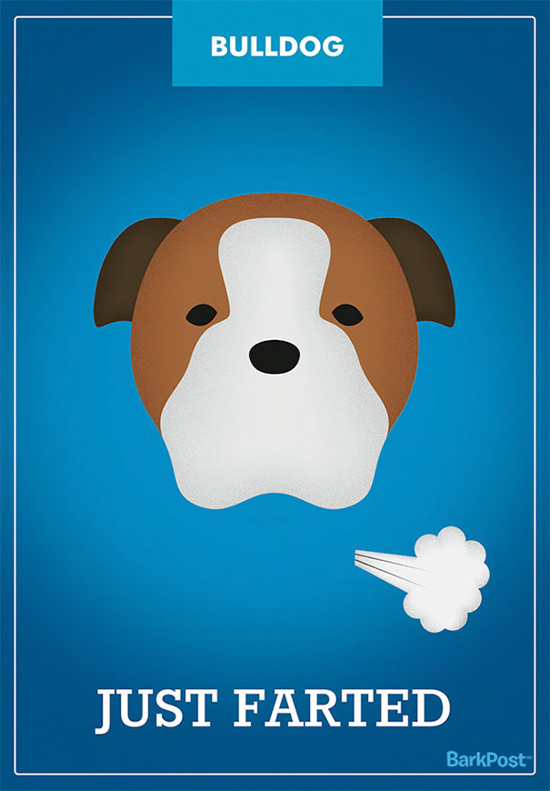 dog-breed-illustrations-labels-laura-palumbo-1-571e2dc53bf2a__605