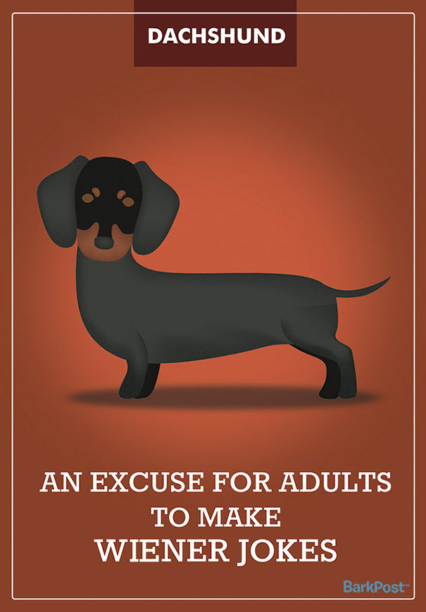 dog-breed-illustrations-labels-laura-palumbo-10-571e2ddc7c6d0__605