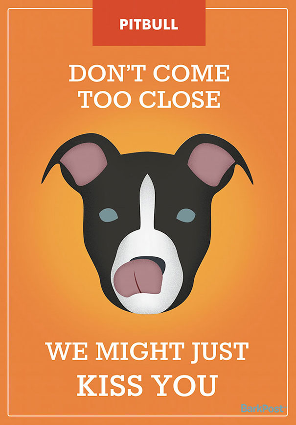 dog-breed-illustrations-labels-laura-palumbo-3-571e2dcb9d302__605