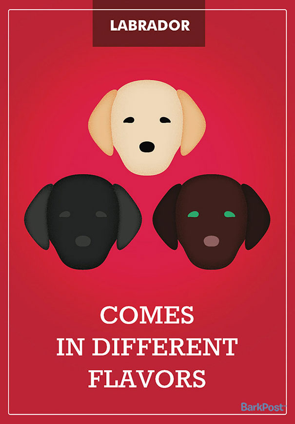 dog-breed-illustrations-labels-laura-palumbo-5-571e2dd177835__605