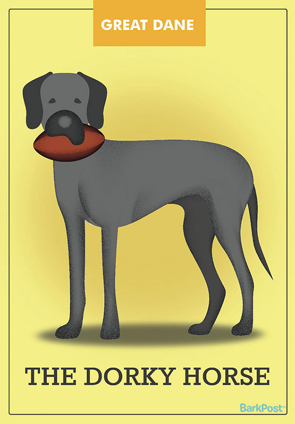 dog-breed-illustrations-labels-laura-palumbo-7-571e2dd6642b6__605