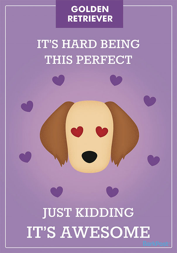 dog-breed-illustrations-labels-laura-palumbo-8-571e2dd8691ba__605